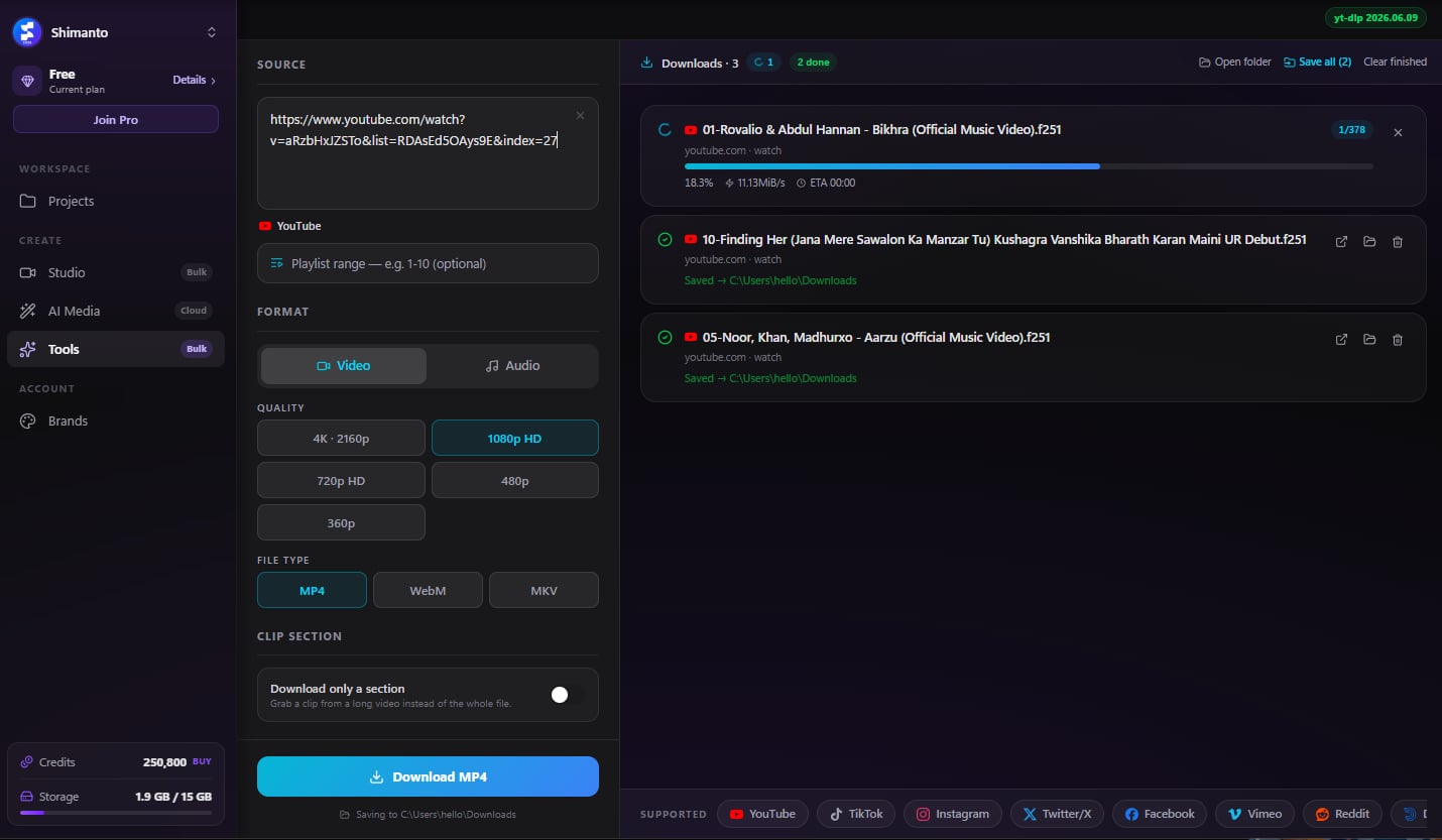 Video Downloader product screenshot